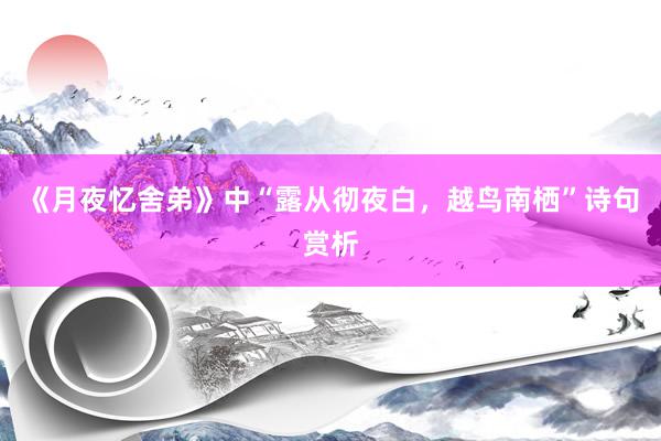 《月夜忆舍弟》中“露从彻夜白，越鸟南栖”诗句赏析